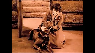 530 hairy porn videos